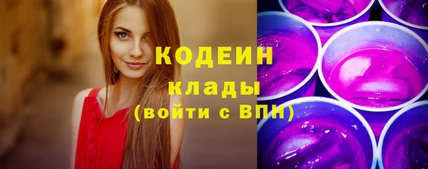 дмт Дмитровск