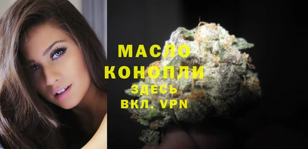 дмт Дмитровск