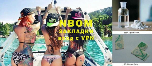 дмт Дмитровск