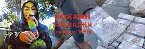 дмт Дмитровск